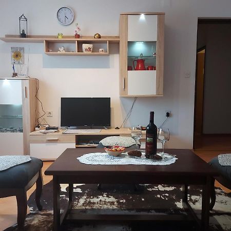 Apartman Skender 3* Ravna Gora Apartment ภายนอก รูปภาพ