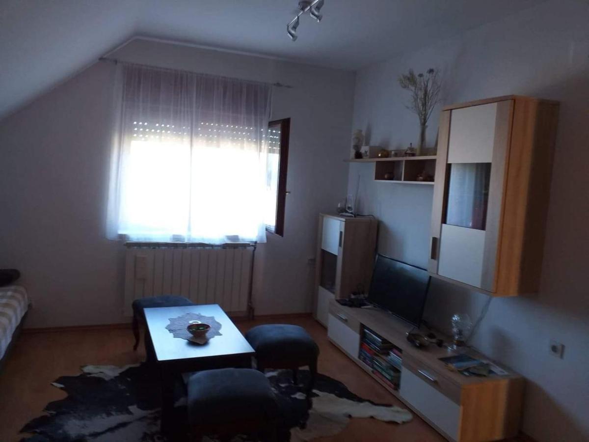Apartman Skender 3* Ravna Gora Apartment ภายนอก รูปภาพ