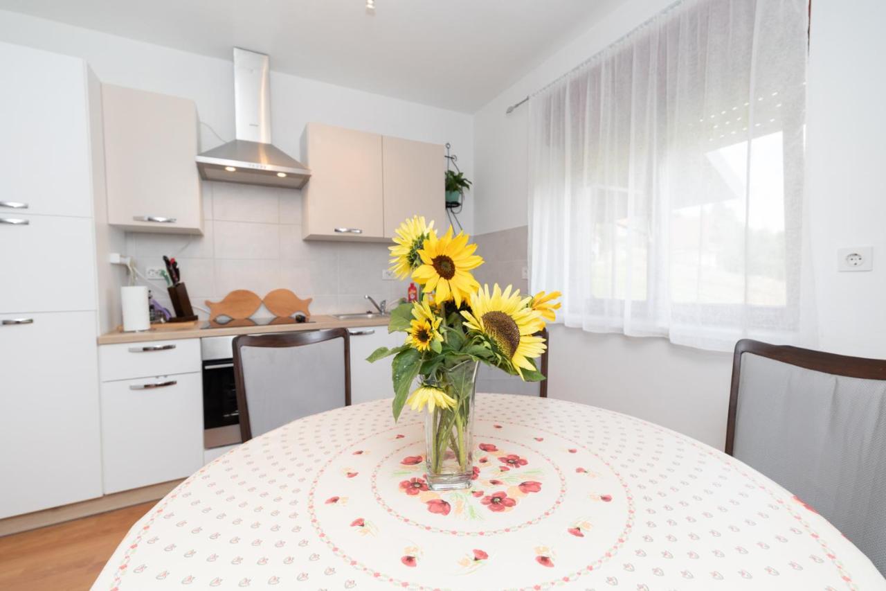 Apartman Skender 3* Ravna Gora Apartment ภายนอก รูปภาพ