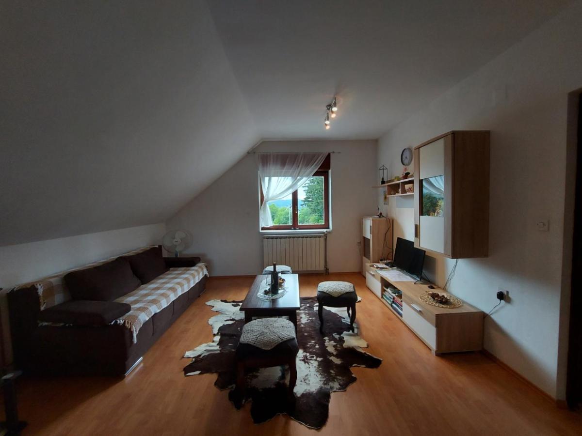 Apartman Skender 3* Ravna Gora Apartment ภายนอก รูปภาพ