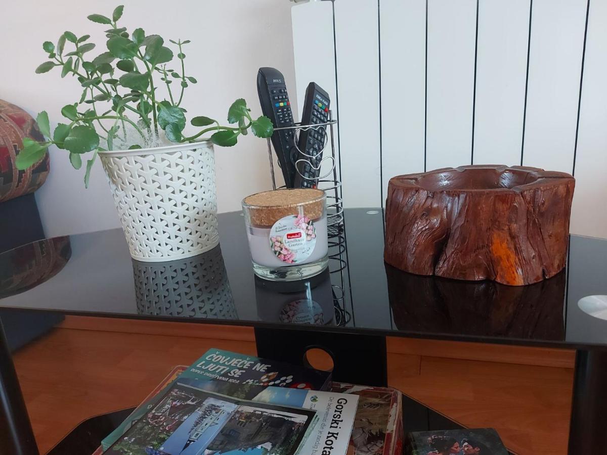 Apartman Skender 3* Ravna Gora Apartment ภายนอก รูปภาพ