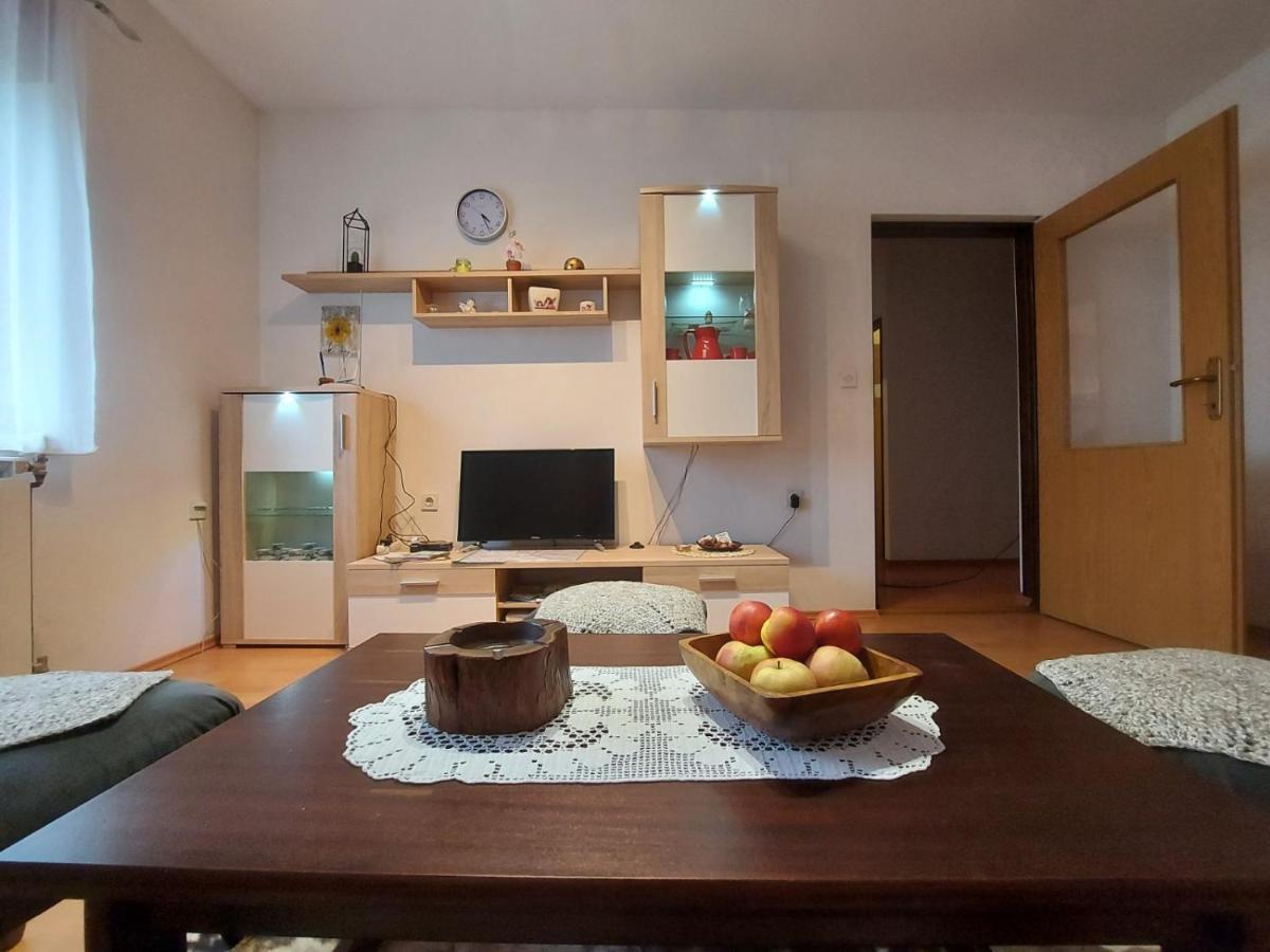 Apartman Skender 3* Ravna Gora Apartment ภายนอก รูปภาพ